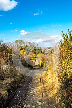 Vidiecka, lesná cesta, zostup medzi záhradou a lesom jeseň, november, Slovensko