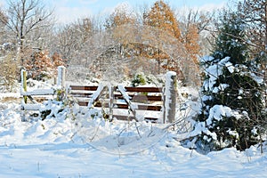 Rural frosty snow covered gate