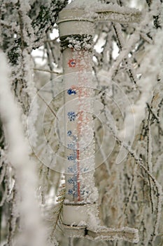 The rural garden in winter clothes. Frosted thermometer hanging on the larch showing the temperature below zero.