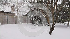 Rural garden in winter, snowflakes fly against the background of trees and house with chimneys