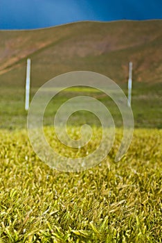 Rural grassy landscape