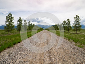 A Rural Gravel Road Lined with Trees