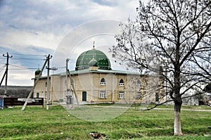 Rural green mosque