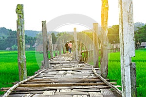 Rural Green rice fields and bamboo bridge. Place name Sutongpe B