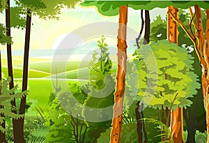 Rural hills. Landscape with trees. Vector. Pasture grass for cows and a place for a vegetable garden and farm. Meadows and trees.