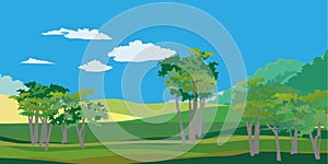 Rural hills landscape vector background on white. Pasture grass for cows.
