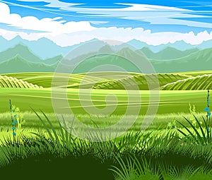 Rural hills. Scenery. Vector. Pasture grass for cows and a place for a vegetable garden and farm. Meadows and trees. Horizon.