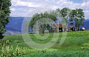 Rural house in an aspen grove in Rocky Mountains