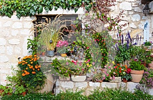 Rural house decorated with flowers in pots