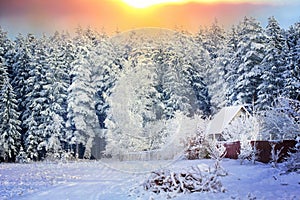 Casa sobre el borde de Bosque en la nieve 