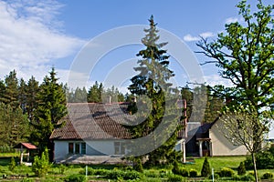 Rural house with green trees in Poland