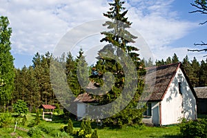 Rural house with green trees in Poland