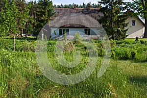 Rural house with green trees in Poland