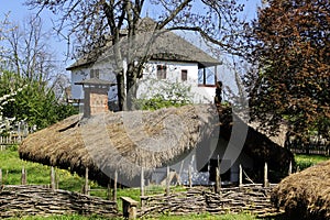 Rural house