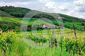 Rural house on the hill among vineyards