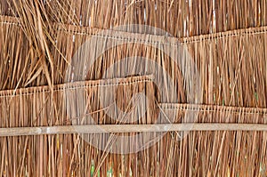 Rural house roof made of cogon grass,thatch roof background