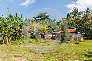 Rural house on Siquijor island, Philippine