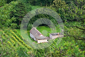 Rural house with vineyards on hill Csobanc, Balaton Uplands, Hungary