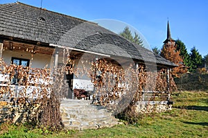 Rural household maramures