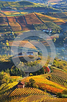 Rural houses and autumnal vineyards in Piedmont, Italy.