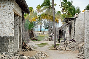 Rural housing of Jambiani village in Zanzibar photo