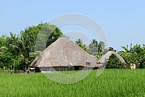 Rural Hut