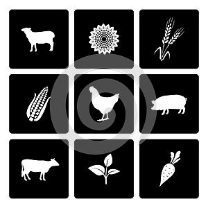 Rural icons set