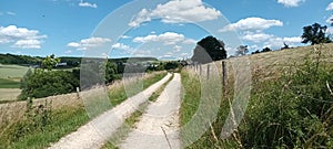 Path through blooming nature in spring in german region Mosel