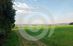 Rural idyll: Path through landscape in summer with field and trees in german region Hunsrueck
