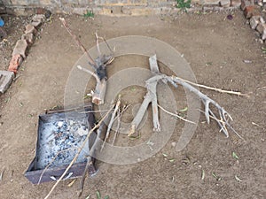 rural India landscape, fire woods for burning