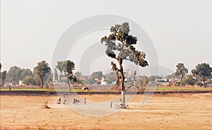 Rural India landscape. Village kids playing cricket outdoor, on playground with one tree area.