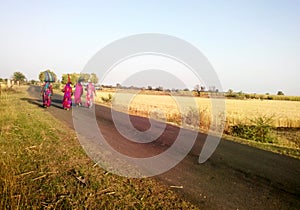 Rural Indian grass reaper women returning home