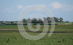 Rural Iowa landscape