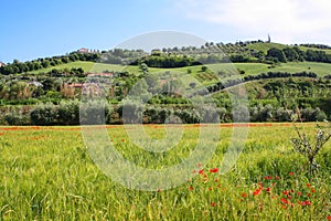 Rural Italian landscape