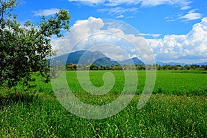 Rural italian landscape