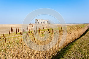 Rural Italian landscape from Po river lagoon.