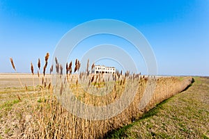 Rural Italian landscape from Po river lagoon.