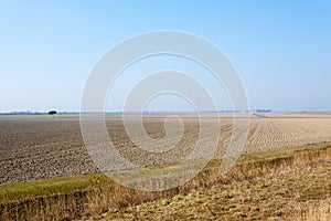 Rural Italian landscape from Po river lagoon.