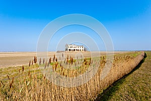 Rural Italian landscape from Po river lagoon.