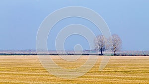 Rural Italian landscape from Po river lagoon.