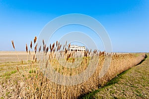 Rural Italian landscape from Po river lagoon.