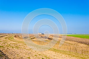 Rural Italian landscape from Po river lagoon.