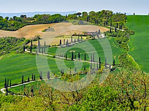 Rural italian landscape in the spring