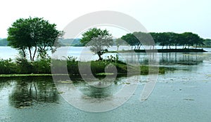 A rural lake landcape with reflection trees. photo