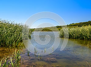 Rural lake landscape with reeds, wildlife and with blue skies and clouds