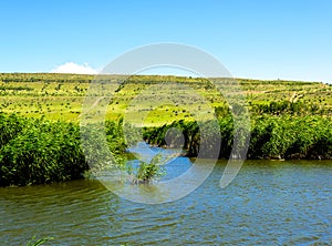 Rural lake landscape with reeds, wildlife and with blue skies and clouds