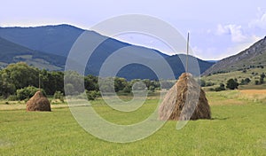 Rural landscape