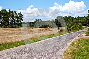 Rural landscape