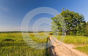 Rural landscape