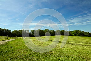 Rural landscape